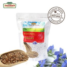 플렉스태국어