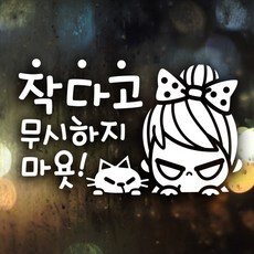 자동차운전전문강사