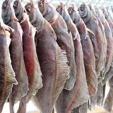 한산도수산 반건조 도다리1팩 도다리, 1팩(800g 내외), 1개