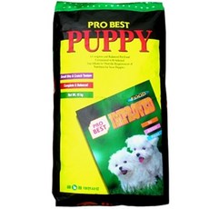 바람펫피트니스프로