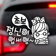 자동차운전전문강사