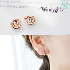 디올로즈드방귀걸이