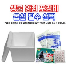 350aeaeb-9fbc-4f98-a396-90d17b7bcfe0.jpg