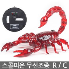 반디전갈
