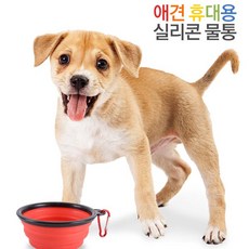//상품명