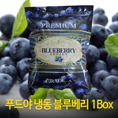 foodya블루베리