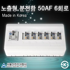 서울산전 가정용 분전반 모음 30A 50A 3회로~8회로 매입 노출 차단기 국내산, [선택12] 노출형 50AF 6회로