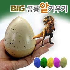 빅공룡알키우기/다이노포켓/쥬라기/부화/공룡화석/화석발굴, 1개