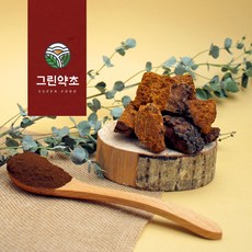 그린약초 차가버섯, 1개, 원형500g