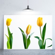 라이트사이클모프