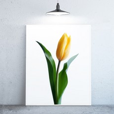 라이트사이클모프