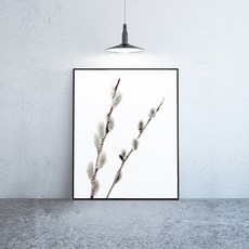 라이트사이클모프