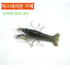 ed6dac24-588a-418b-851a-1e26de35bb1c.jpg