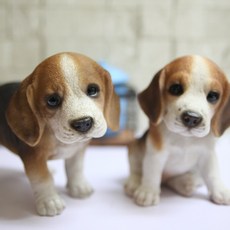 d831f808-07ed-4f36-9cb4-f528d4f88eb8.JPG