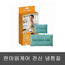 한마음케어 찜질팩, 전신냉찜질팩