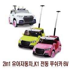 아우디푸쉬카캐노피