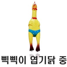 //상품명