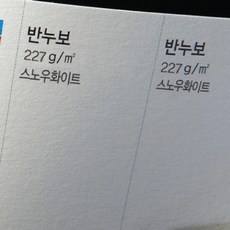 반누보a4