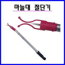 마늘창