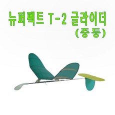 고무동력기보이져