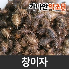 4a892eb9-8d1c-4bd7-9098-604a20e4aa03.jpg