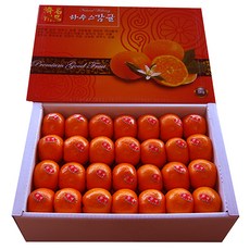 자체브랜드 하우스밀감 불로초감귤 진지향밀감 비가림밀감, 선택6번 하우스밀감