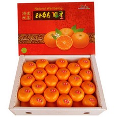 진지향