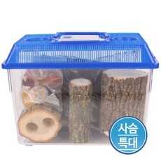 곤충나라 일반 사슴벌레 사육세트 특대, 일반 사슴세트 특대