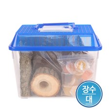 곤충나라 일반 장수풍뎅이 사육세트 대, 일반 장수세트 대