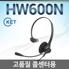 hw-n300