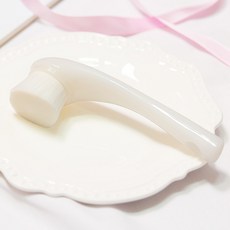 피지브러쉬
