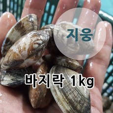 동해바지락