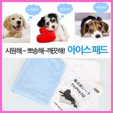 아이스방석패드