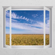 사진을창문시트지