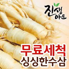 금산고려인삼 수삼, 1개, 바로삼 최고급형(믹서)260g