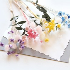 로젤리안 프리저브드 미니 꽃다발 안개(핑크) 상품 이미지