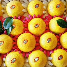 행복한농장황금향