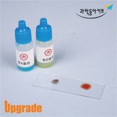 혈액형판정실험