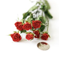 a50bd977-9cf8-4178-bd37-7775155e1257.jpg