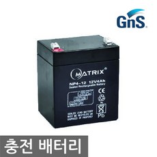 gn300