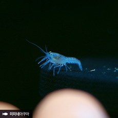 8f736f51-733a-4d51-a589-7ecf557937b0.jpg