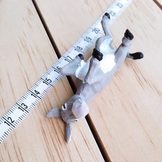 실사동물자석