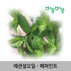 22ee7b28-4877-499c-b2bc-d9b94c8c2053.jpg