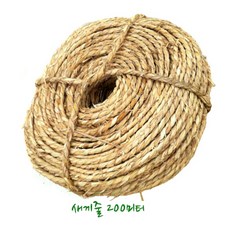 6d46ee3f-3097-4e9d-8a60-b09a28304e8e.jpg