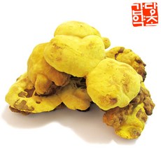 갑당약초 국내산 상황버섯 100g, 1개