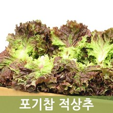 적상추4kg