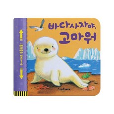 요트타고놀자