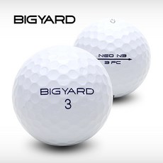 빅야드 로스트볼 NEO DT XP 3피스 혼합 10알, 화이트 B급, 10개