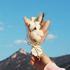 목화송이