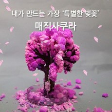 시소유화